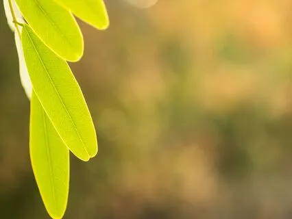 Grief And Happiness In The Body: Holding Space For Both