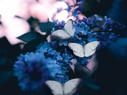 Grief & Loss: A Guide To Healing