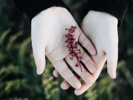 Grief And Loss: Acceptance