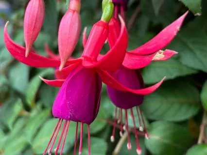 Grief And Loss: EFT Tapping For Honouring What Was Here