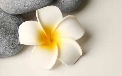 Grief And Loss: Finding Peace