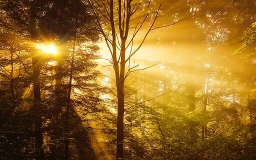 Grief And Loss Guided Meditation