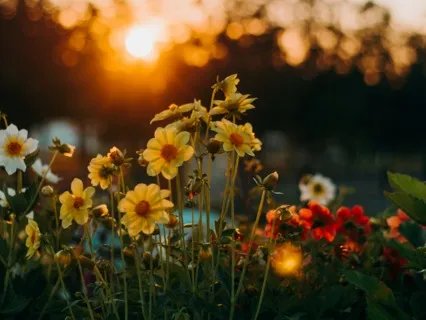 Grief, Anxiety And Pain Relief, Breath By Breath