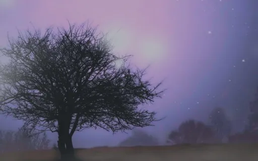 Grief As An Apprenticeship Meditation