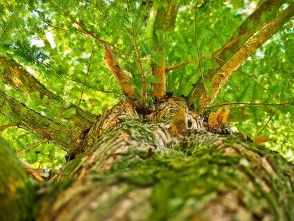 Grief Holds Both Brokenness And Beauty