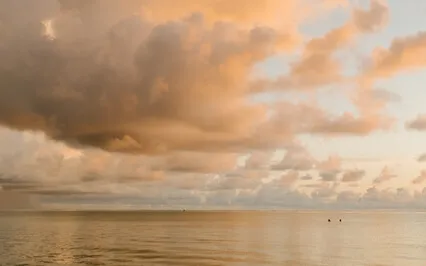 Grief In Ending A Wanted Pregnancy