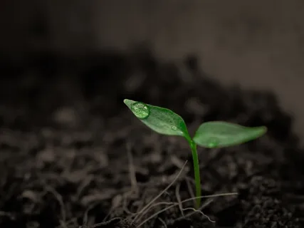 Grief Is Wild With Iris Rankin