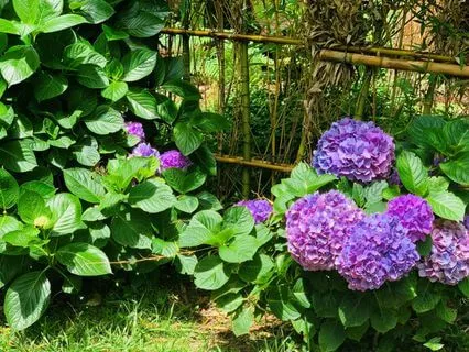 Grief - It Does Get Better