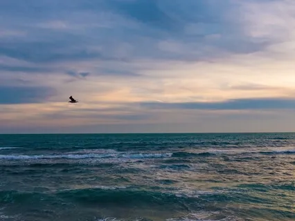 Grief, Loss Of A Loved One