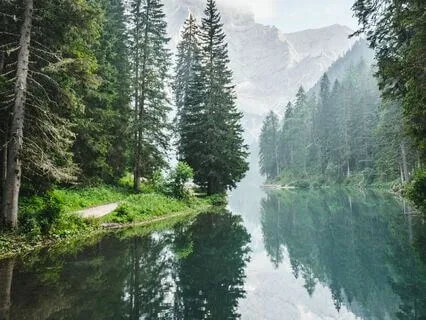 Grief & Responsibility