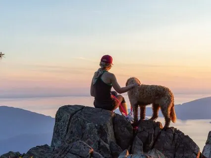 Grief SOS | Nervous System Talk Down | Coastal Forest Walk