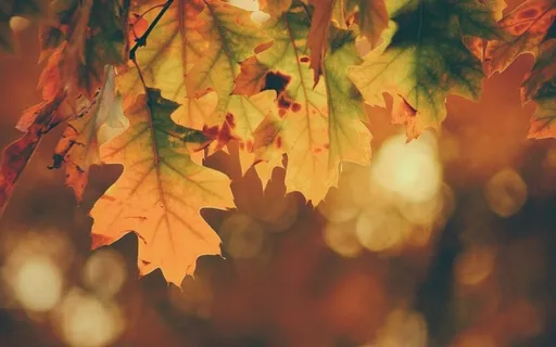 Grief Support For The Holidays