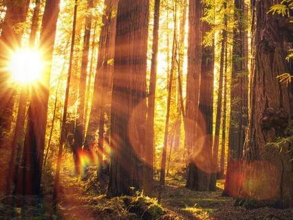 Grief Theta Healing Meditation