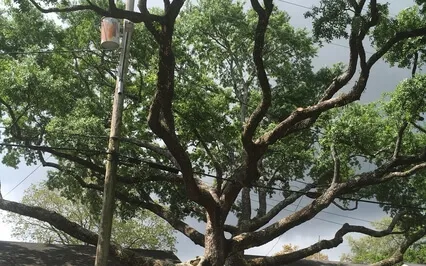 Grieving In The Chakras 