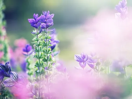 Grieving Our Losses; Healing Our Lives During COVID19