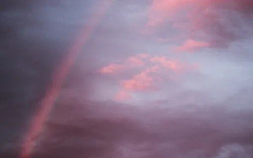 Grieving The Loss Of A Pet