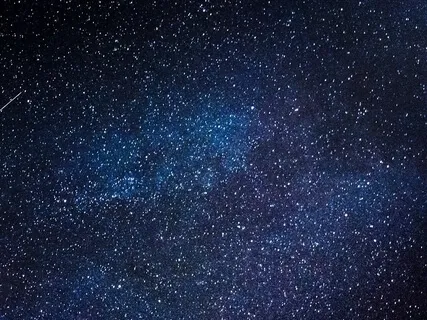 Grillenzirpen / Crickets Chirping