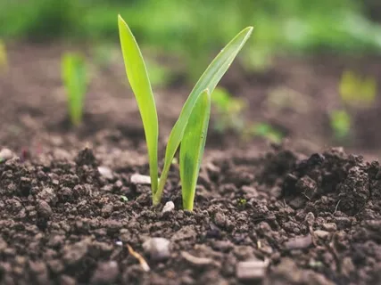 Ground And Calm Through Breath And Visualization