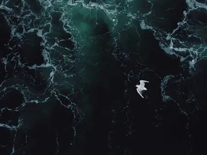 Ground And Clear: A 3-Minute Energy Reset Meditation