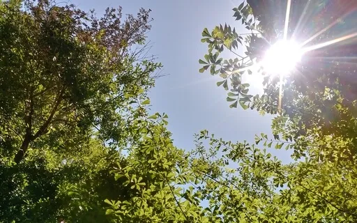 Ground And Connect Meditation