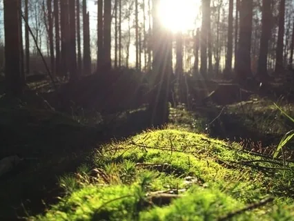 Ground & Connect To The Earth