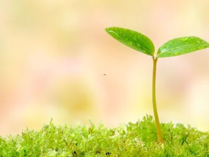 Ground And Nourish: Guided Relaxation