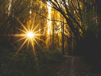 Ground, Balance, And Shield Meditation For On The Go