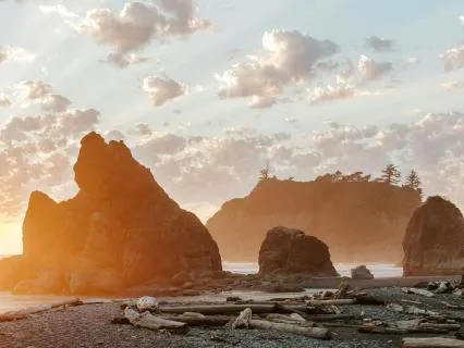 Quiet The Mind, Settle The Body: A Grounding Meditation