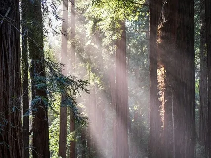 Ground & Center: A Meditation For Inner Peace