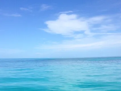 Ground Down Connect Above