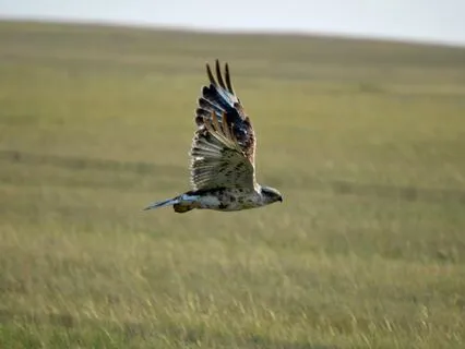 Ground Down Rise Above Mantra