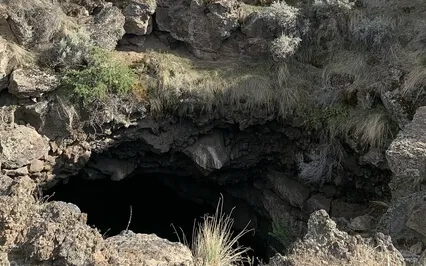 Ground, Focus & Expand