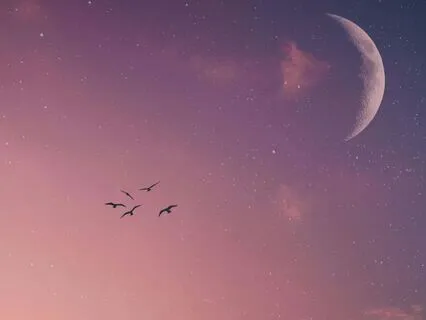 Ground & Grow – Virgo Black New Moon Ritual