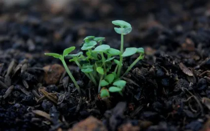 G.R.O.U.N.D. In The Here & Now