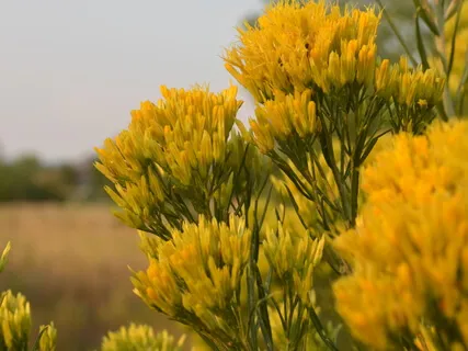 Ground Into Your Body