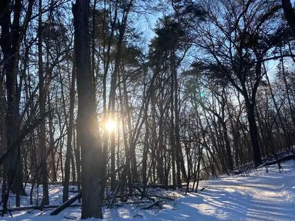 Ground, Protect And Connect Into Blue Star Yoga Nidra