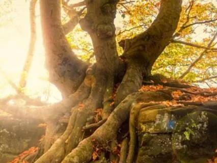 3 Minute Meditation:  Ground Release Drain