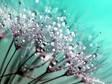 Ground Your Energy With Nature