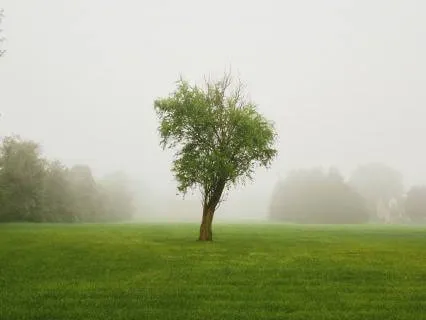 Ground Yourself: A Morning Nervous System Reset