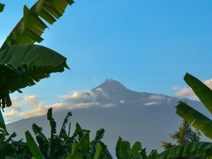 Ground Yourself Here