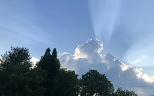 Ground Yourself In Gratitude