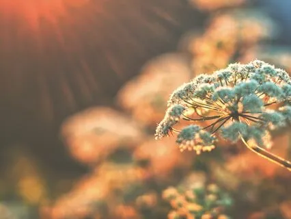 Ground Yourself In The Morning