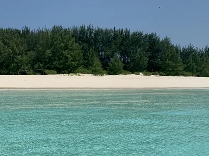 Ground Yourself In The Present Moment