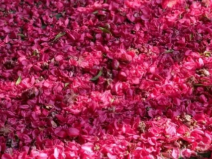 Ground Yourself - Morning Mindfulness