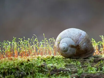 Instant Grounding For Inner Balance