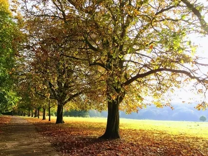 Grounded (25 Minutes)