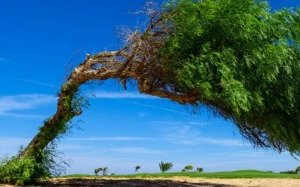 Grounded And Flexible