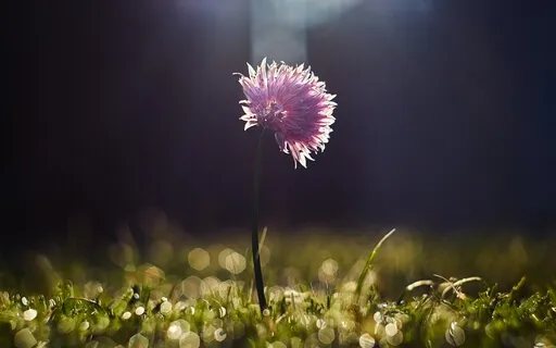 Grounded And Nourished