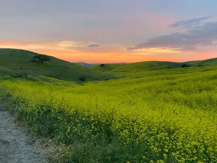 Grounded And Present