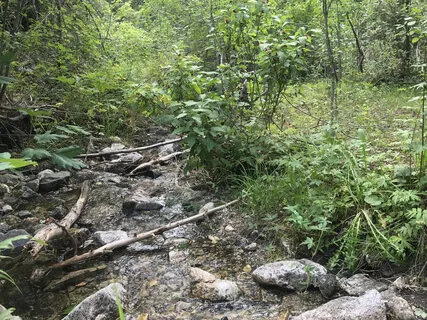 Grounded Awareness Meditation For Beginners